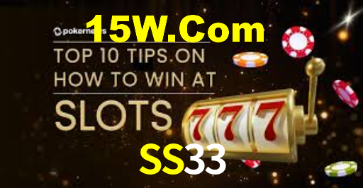 SS33