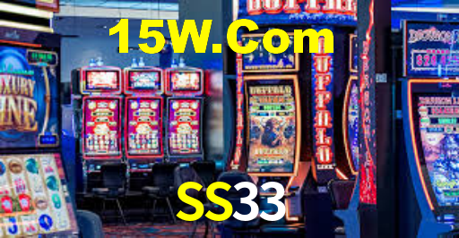SS33
